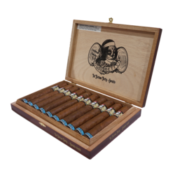 Deadwood Fat Bottom Betty Gordito - Box of 10 (6 x 60)